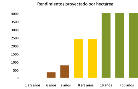 Rendimientos proyectado por hectárea